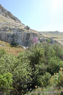 ntana Paradiso-15-05-2014 17-38-54